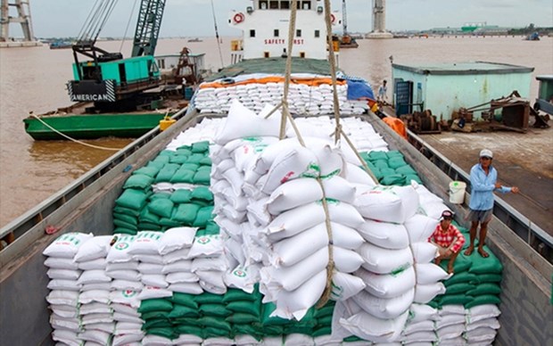 Exportation de riz 2022: Miracle en difficulte hinh anh 1