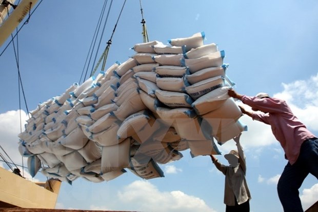Les exportations nationales de riz devraient atteindre 7 millions de tonnes en 2023 hinh anh 1