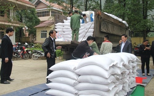 L'aide de 7 800 tonnes de riz a plus de 520 000 personnes demunies avant le Tet hinh anh 1