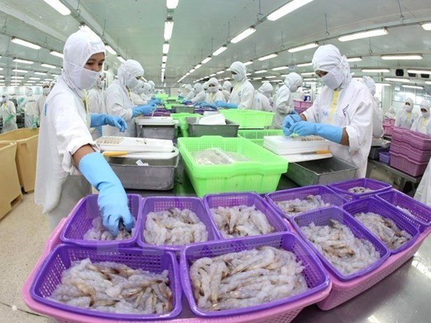 Les exportateurs de crevettes vietnamiens vers les Etats-Unis beneficieront de droits nuls hinh anh 1