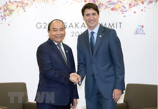 Le PM rencontre des dirigeants mondiaux en marge du sommet du G20 a Osaka hinh anh 1