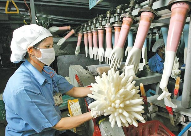 Le plus grand fabricant de gants du monde ouvrira sa premiere usine au Vietnam hinh anh 1