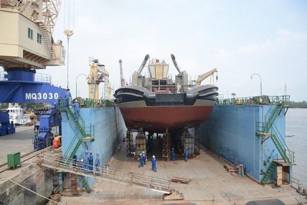Transport maritime et construction navale: un facteur important de la strategie maritime hinh anh 2