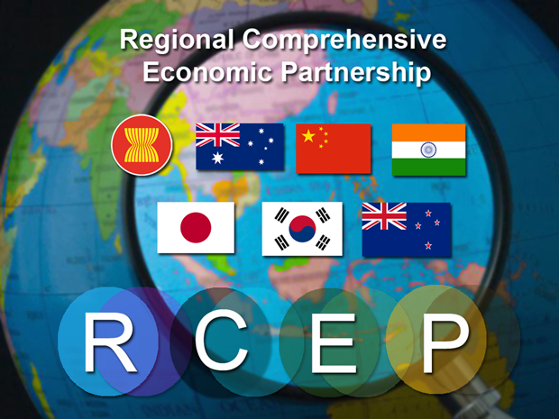 Le RCEP offrira des avantages a toutes les parties participantes hinh anh 1
