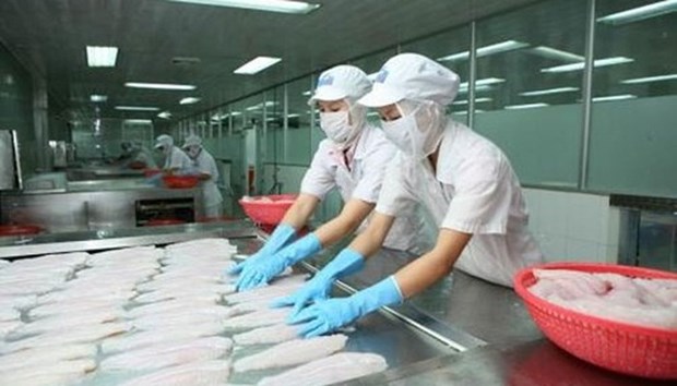 Les exportations de calmars et de poulpes augmentent legerement en juin hinh anh 1