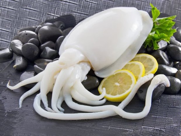 Les exportations nationales de cephalopodes retrouvent des couleurs hinh anh 1