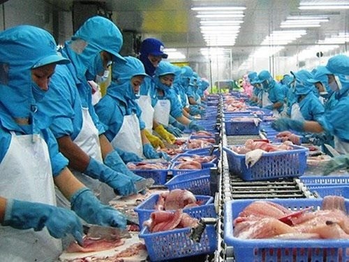 Les Etats-Unis maintiennent les droits antidumping sur les pangas vietnamiens hinh anh 1
