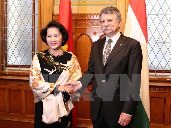 Vietnam et Hongrie renforcent la cooperation bilaterale dans tous les domaines hinh anh 1