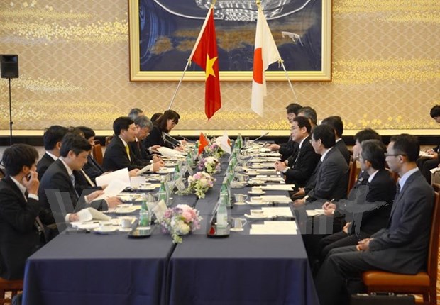 Vietnam est un des partenaires importants du Japon en Asie du Sud-Est hinh anh 2