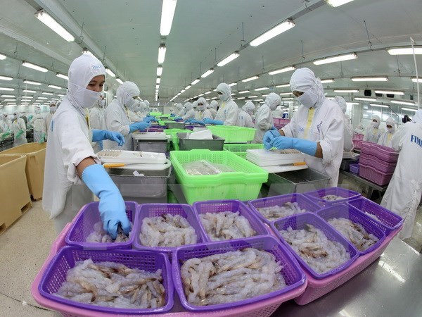 Le Vietnam invite l’Australie a lever l’embargo sur la crevette hinh anh 1