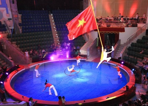 Le Vietnam gagne l’or au Festival international du cirque Circuba 2017 hinh anh 1