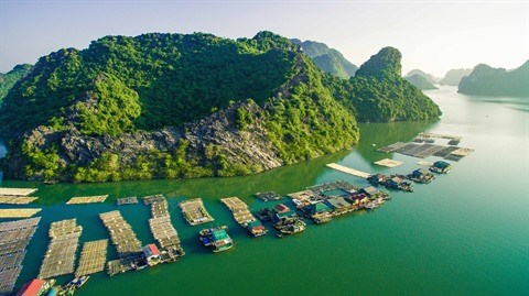 Alliance pour proteger la baie de Ha Long et l’archipel de Cat Ba hinh anh 2