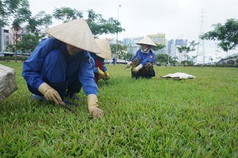 Redonner vie aux espaces verts a Ho Chi Minh-Ville hinh anh 1