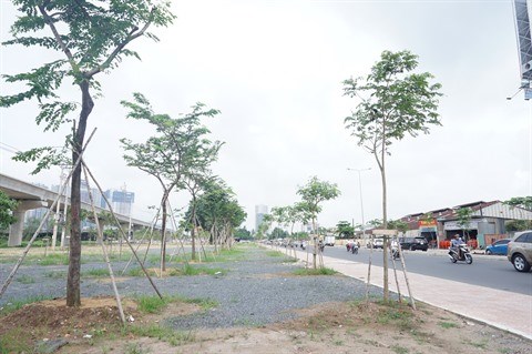 Redonner vie aux espaces verts a Ho Chi Minh-Ville hinh anh 2