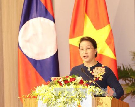 Vietnam-Laos : Du role des deputees dans les activites parlementaires hinh anh 1