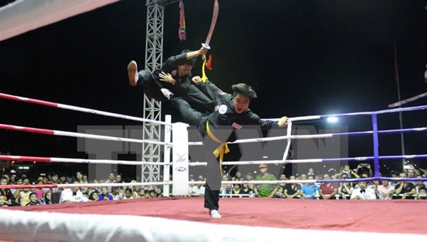 Le Vietnam accueille le Championnat d’Asie de jiu-jitsu 2017 hinh anh 1