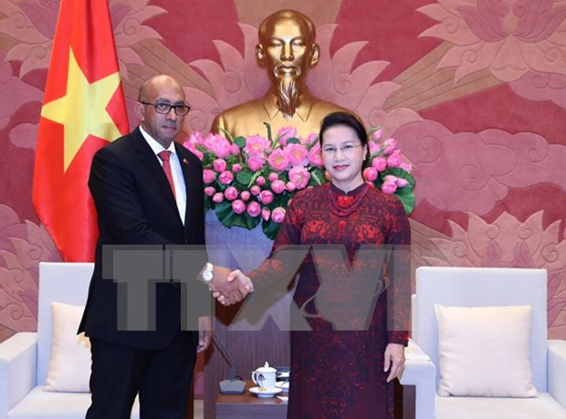 La presidente de l’AN recoit l’ambassadeur cubain au Vietnam hinh anh 1
