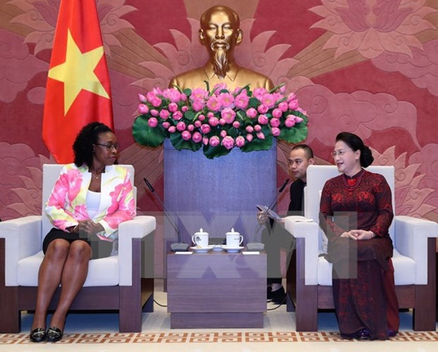 Promotion de la cooperation Vietnam – Mozambique hinh anh 1