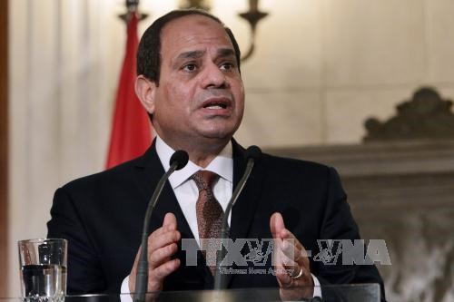 Vietnam-Egypte: jalons importants des relations bilaterales hinh anh 1