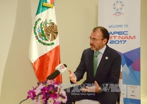 APEC 2017: Le Mexique souligne le leadership et les propositions du Vietnam hinh anh 1