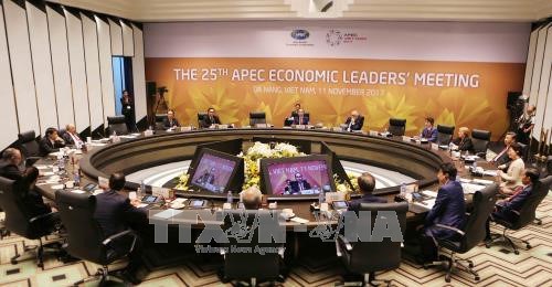 APEC 2017: rehausser la position du Vietnam sur la scene internationale hinh anh 1
