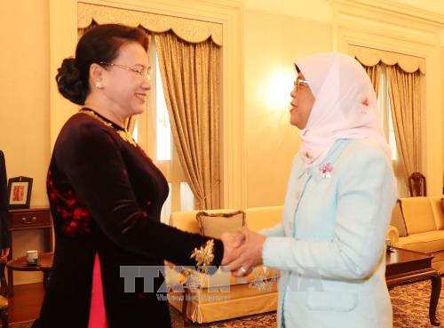 La presidente de l’AN rencontre des dirigeants singapouriens hinh anh 1
