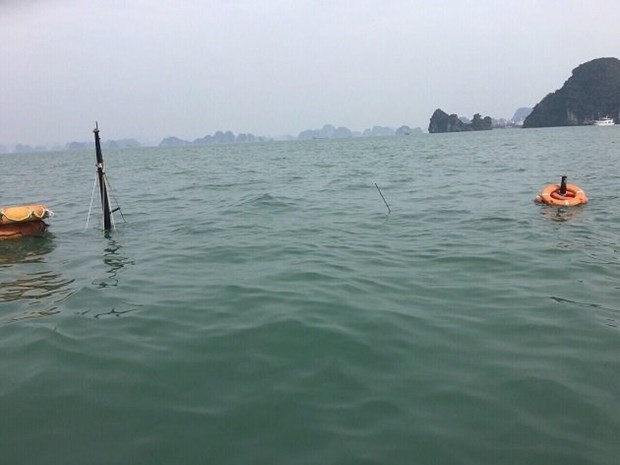 Un bateau coule a Quang Ninh, 31 touristes chinois sauves hinh anh 1