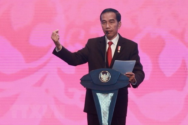 Indonesie : le president Joko Widodo designe candidat a la presidentielle hinh anh 1
