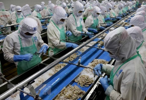 Le Vietnam promeut ses exportations de produits marins vers l’Europe hinh anh 1