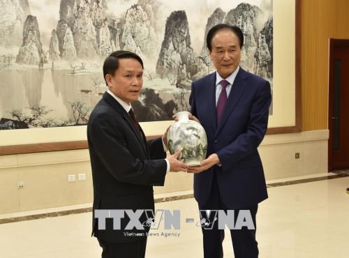 Approfondir les relations de cooperation entre la VNA et Xinhua hinh anh 1