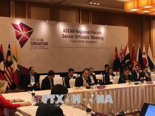 Le Vietnam aux reunions des hauts offciels de l'ASEAN+3, de l'EAS et de l'ARF hinh anh 1