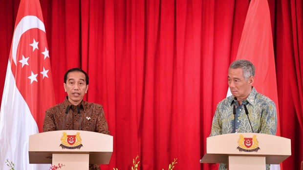 L’Indonesie et Singapour discutent de l’investissement dans la ZI de Kendal hinh anh 1