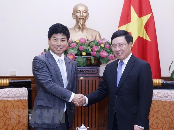 L’APD du Japon contribue a la croissance socio-economique du Vietnam hinh anh 1