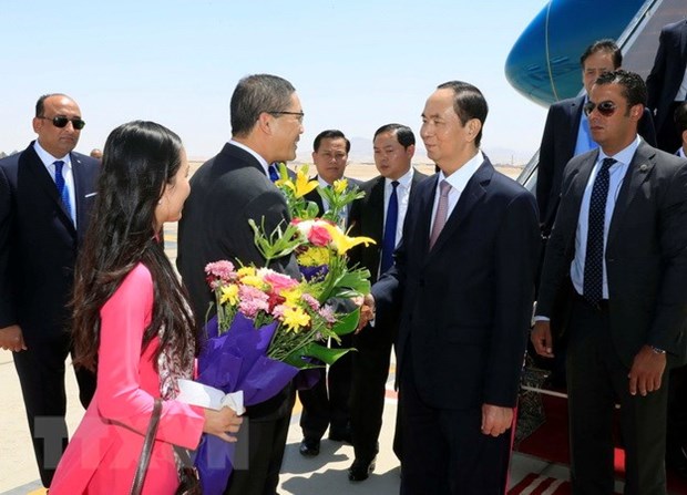 Le president Tran Dai Quang entame sa visite d’Etat en Egypte hinh anh 1
