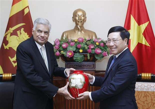 Vietnam et Sri Lanka porteront leur commerce a plus d’un milliard de dollars hinh anh 1
