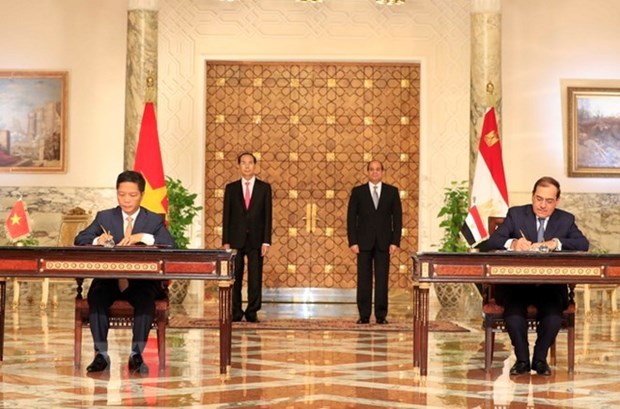 Le Vietnam et l'Egypte publient une declaration commune hinh anh 1