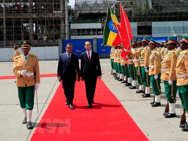 Le president termine ses visites d’Etat en Ethiopie et en Egypte hinh anh 1