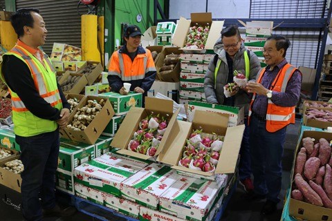 La blockchain pour la tracabilite des pitayas d’exportation vers l’Australie hinh anh 1