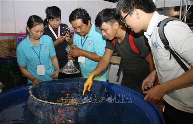 Festival des poissons d’aquarium de Ho Chi Minh-Ville hinh anh 1
