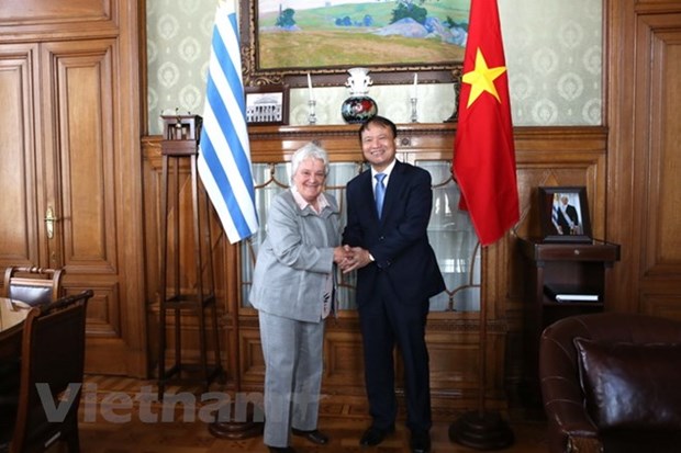 Le Vietnam et l'Uruguay veulent renforcer leurs liens economiques hinh anh 1