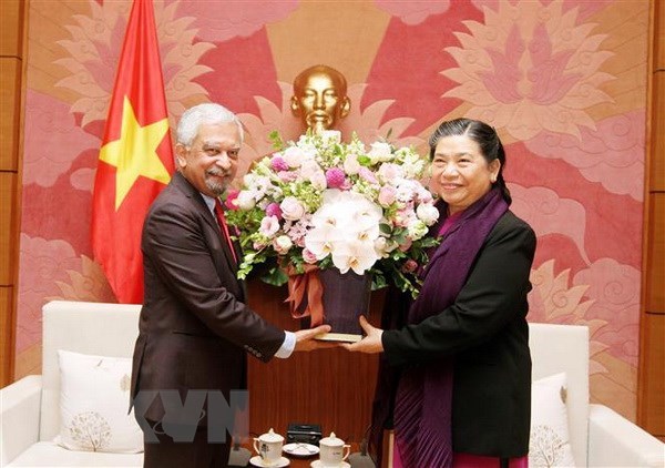 Renforcement des relations entre le Vietnam et l’ONU hinh anh 1