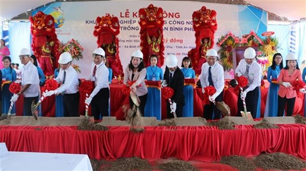 Le plus grand projet de pangasiculture au Vietnam mis en chantier hinh anh 1