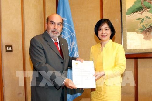 Le Vietnam reste un partenaire important de la FAO hinh anh 1