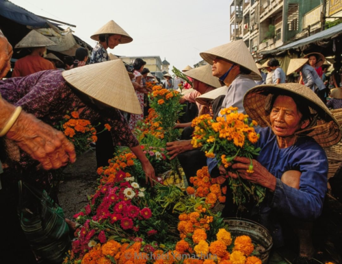 National Geographic publie une photo sur le Vietnam sur sa page Instagram hinh anh 1