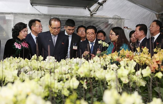 Une delegation de la RPDC etudie le modele de plantation d’orchidees a Dan Phuong hinh anh 1