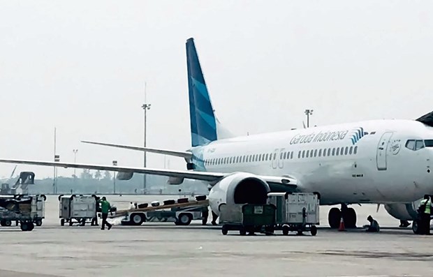 Perdant la confiance dans Boeing, Garuda se tourne vers Airbus hinh anh 1