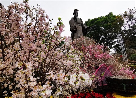 Sakura: Quand Hanoi se met a l’heure japonaise hinh anh 1