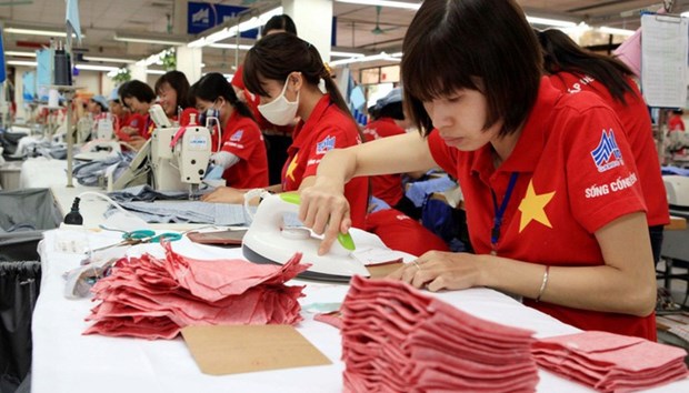 Le CPTPP offre des opportunites d'exportations vietnamiennes au Japon hinh anh 1