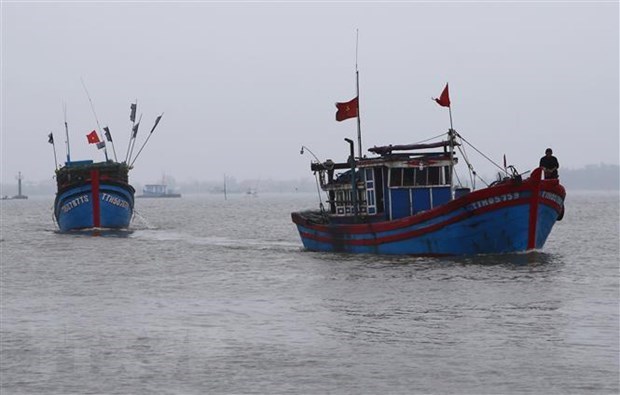 Le Vietnam preoccupe par la saisie et la destruction de bateaux de peche par la partie indonesienne hinh anh 1