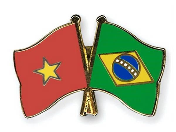 Celebration des 30 ans des relations Vietnam-Bresil a Brasilia hinh anh 1